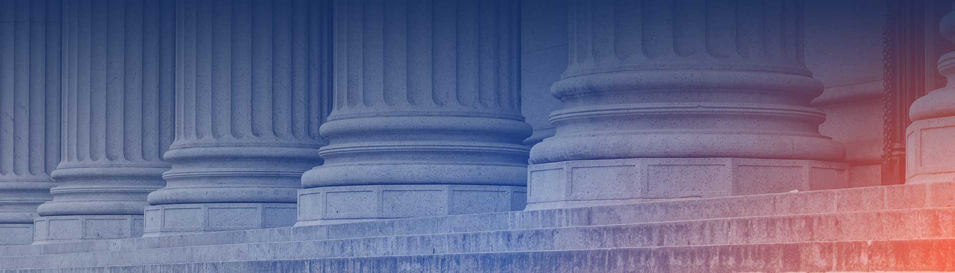 Damages & Expert Witness Services
