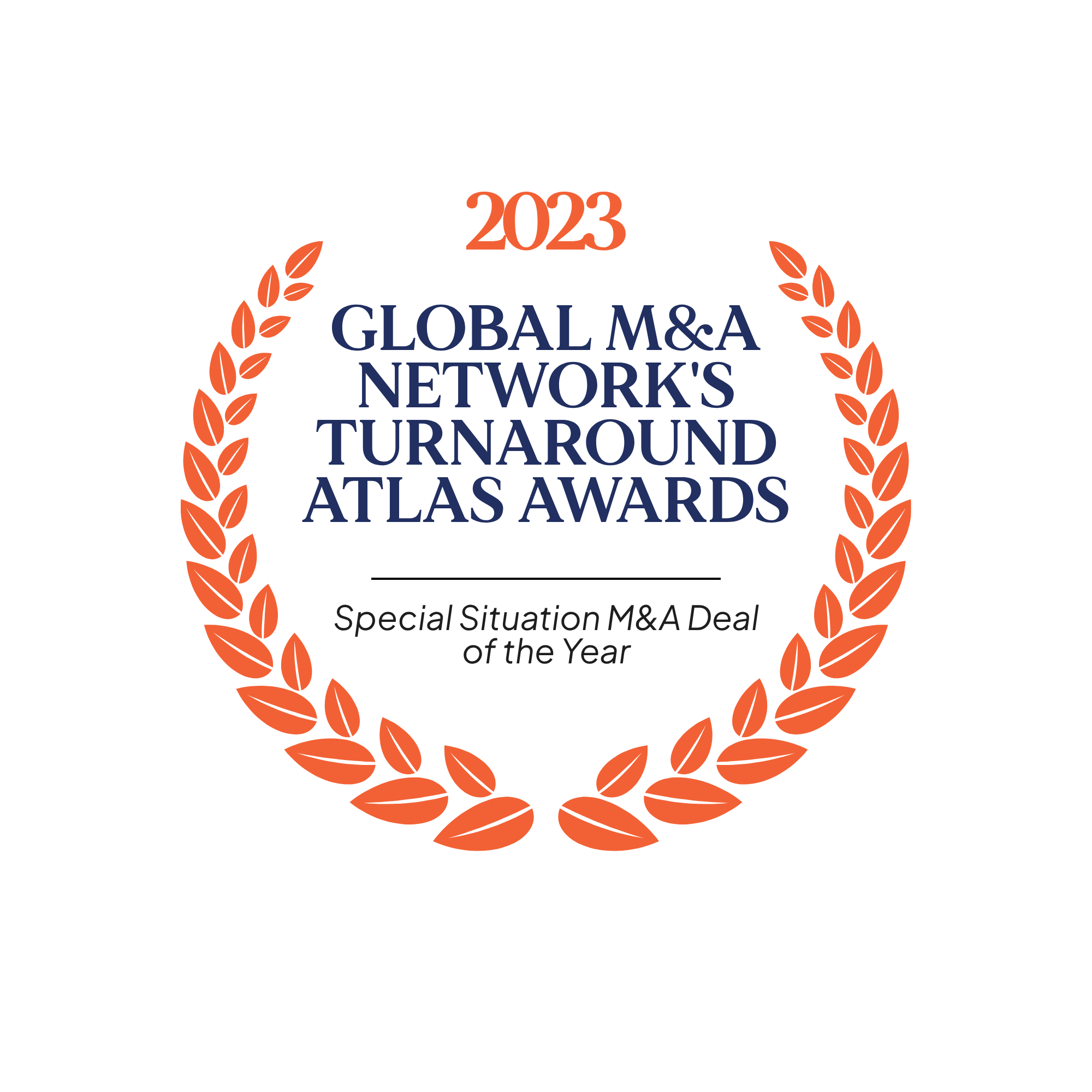 Special Situation M&A Deal of the Year