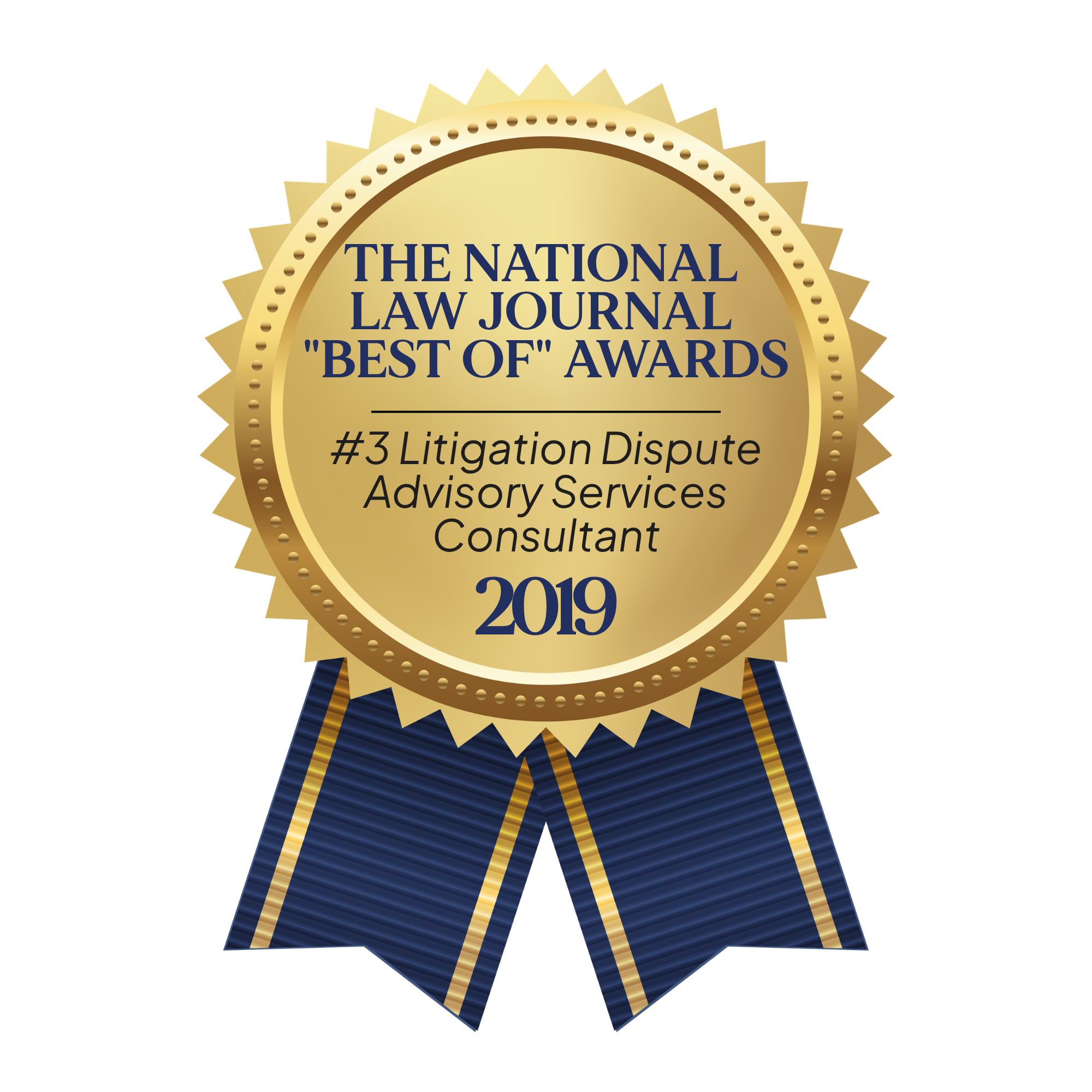 #3 Litigation Dispute Advisory Services Consultant