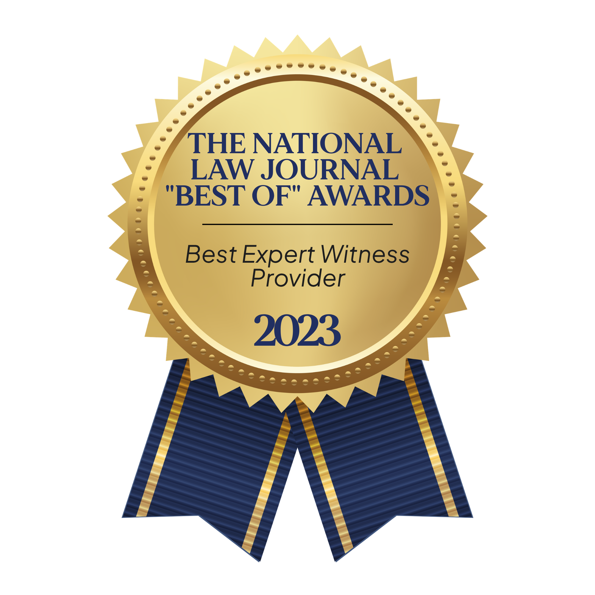 Best Expert Witness Provider